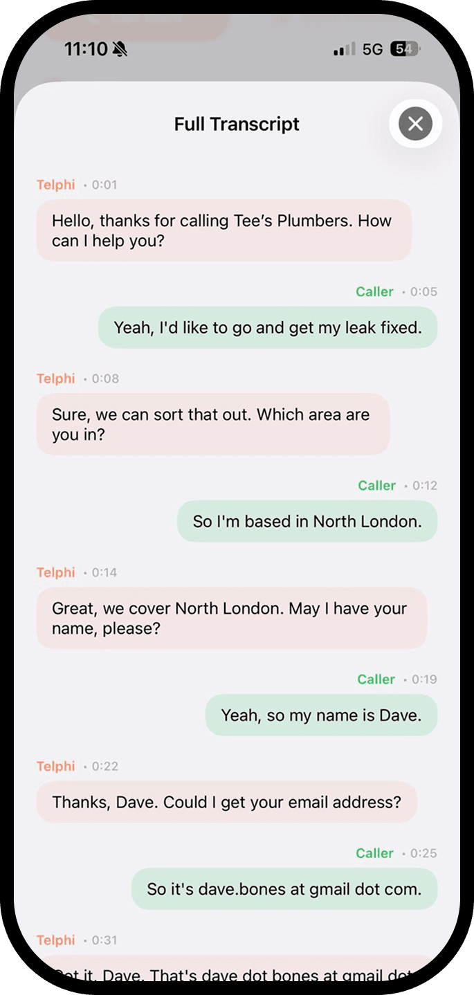 Telphi call transcript view